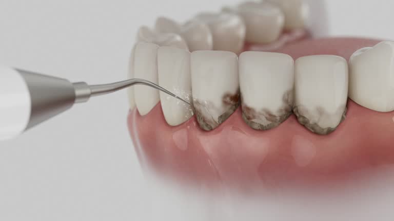 Reliable Dental contractor in Loudoun Valley Estates, VA by Dentist Open Now